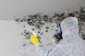 Mold Removal for HVAC Installations in Yarrow Point, WA